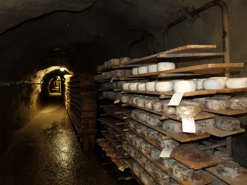 Une Cave à Fromage Des Rangées De Fromages Vieillissants Faiblement  éclairés Capturant L'essence De La Maturation Du Fromage
